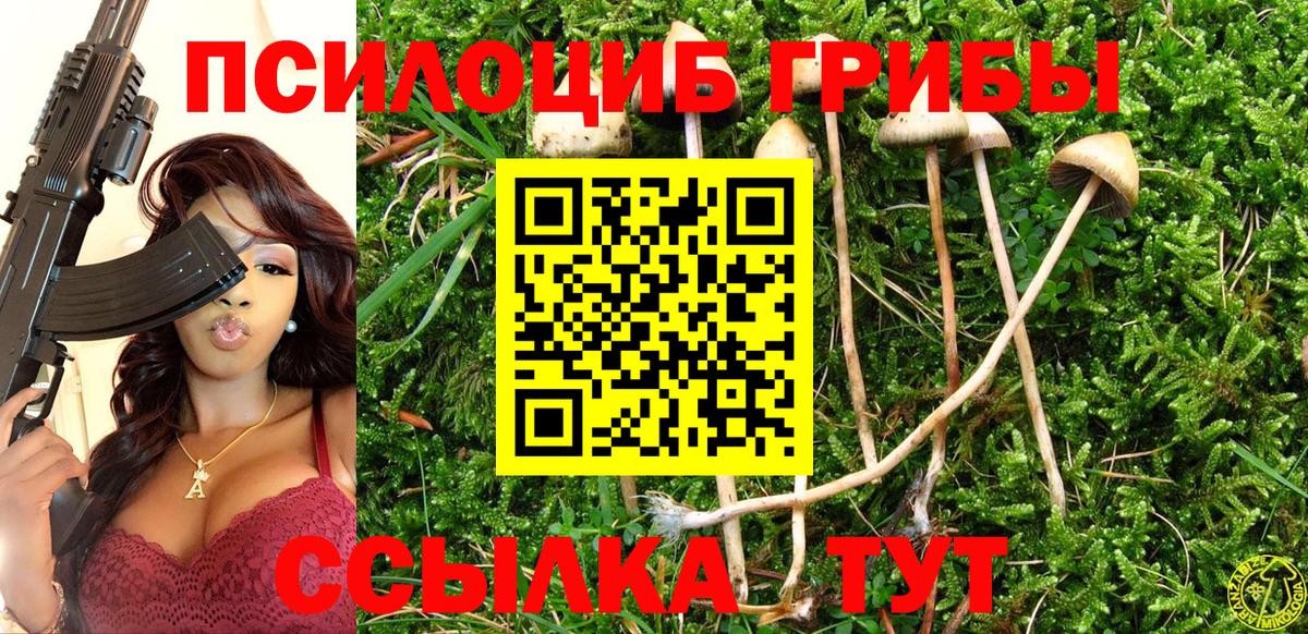 Галлюциногенные грибы мицелий Сибай